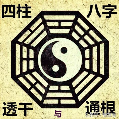 透干通根|四柱八字“透干”和 “通根” 详解，八字中透干和通跟是什。